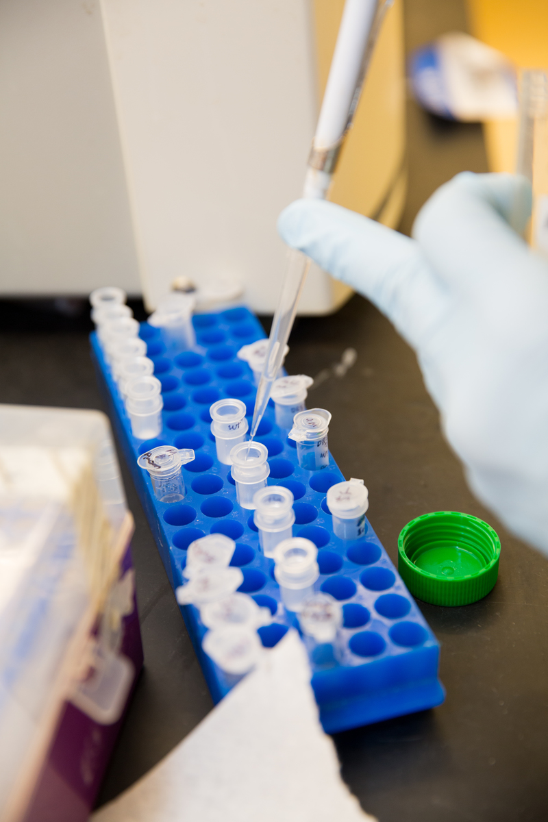 Abraham Sonenshein loading DNA in suspension unto a centrefuge to filter out DNA fragments for sequencing at the Sonenshein Lab at Tufts University in Boston, MA on May 15, 2015. 
